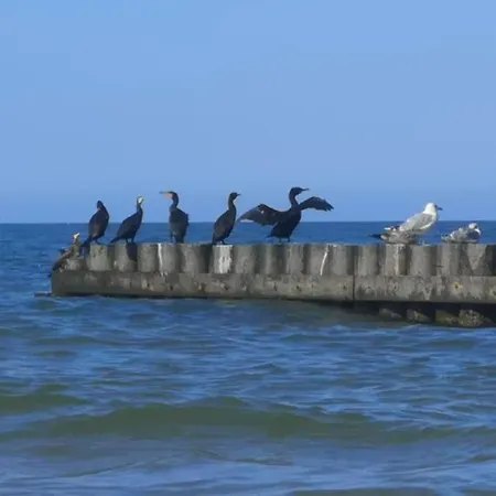 Nad Morzem Przy Klifie 2 Debina Debina (Ustka)