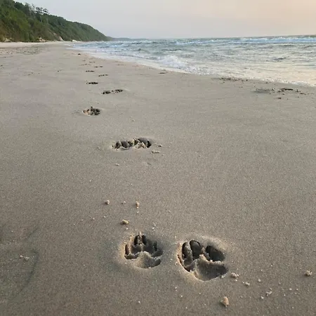 Appartement Nad Morzem Przy Klifie 2 Debina *