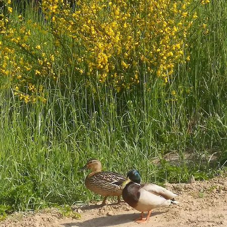 Nad Morzem Przy Klifie 2 Debina Appartement *