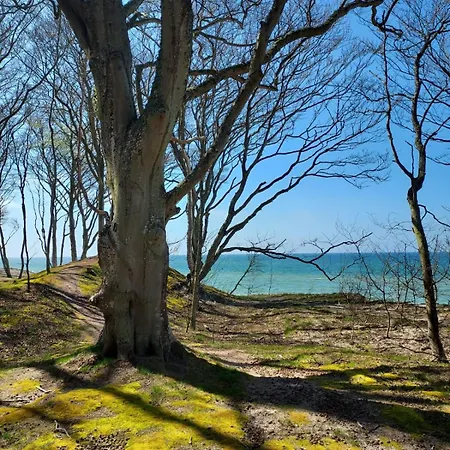 Nad Morzem Przy Klifie 2 Debina *