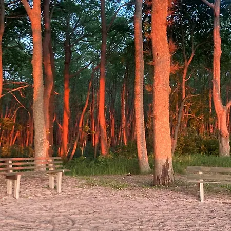 Nad Morzem Przy Klifie 2 Debina Appartement