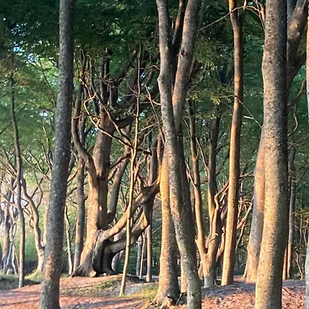 Nad Morzem Przy Klifie 2 Debina * Debina (Ustka)