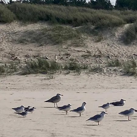 Appartement Nad Morzem Przy Klifie 2 Debina