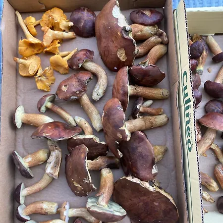 Nad Morzem Przy Klifie 2 Debina Debina (Ustka)