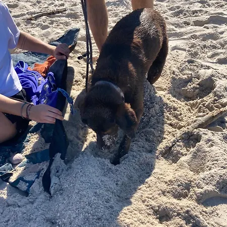 Nad Morzem Przy Klifie 2 Debina Appartement