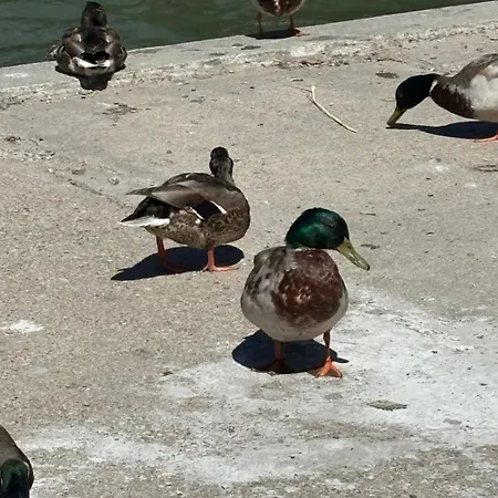 Appartement Nad Morzem Przy Klifie 2 Debina