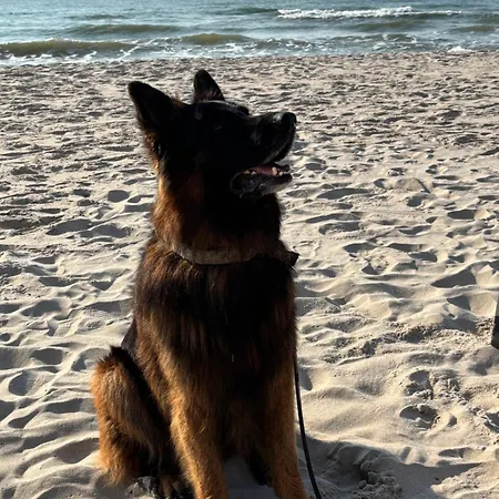 Nad Morzem Przy Klifie 2 Debina Lejlighed Debina (Ustka)