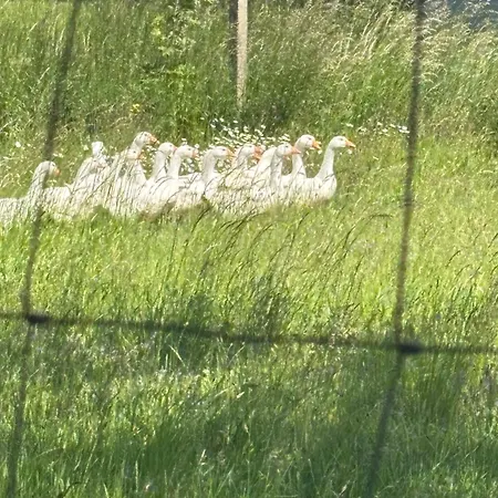 Nad Morzem Przy Klifie 2 Debina Debina (Ustka)