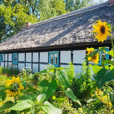 Appartement Nad Morzem Przy Klifie 2 Debina *