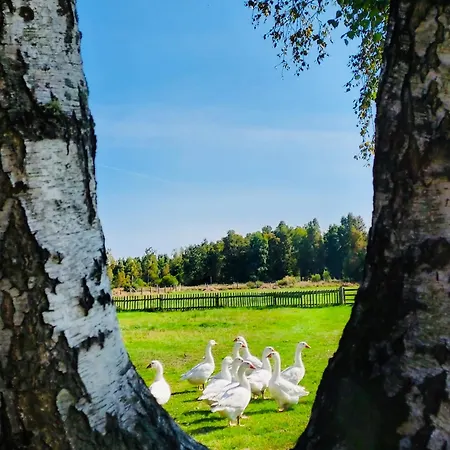 Nad Morzem Przy Klifie 2 Debina *