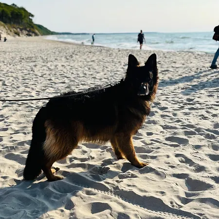 Appartement Nad Morzem Przy Klifie 2 Debina