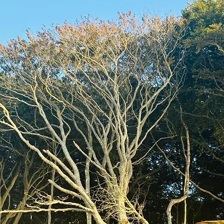 Nad Morzem Przy Klifie 2 Debina דירה Debina (Ustka)