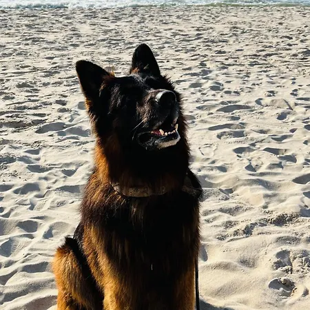 Nad Morzem Przy Klifie 2 Debina Debina (Ustka)