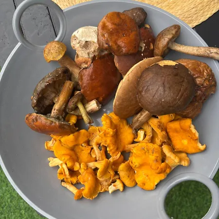 Nad Morzem Przy Klifie 2 Debina Debina (Ustka)