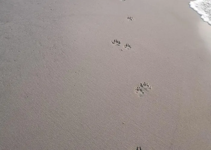 Lägenhet Nad Morzem Przy Klifie 2 Debina Debina (Ustka)