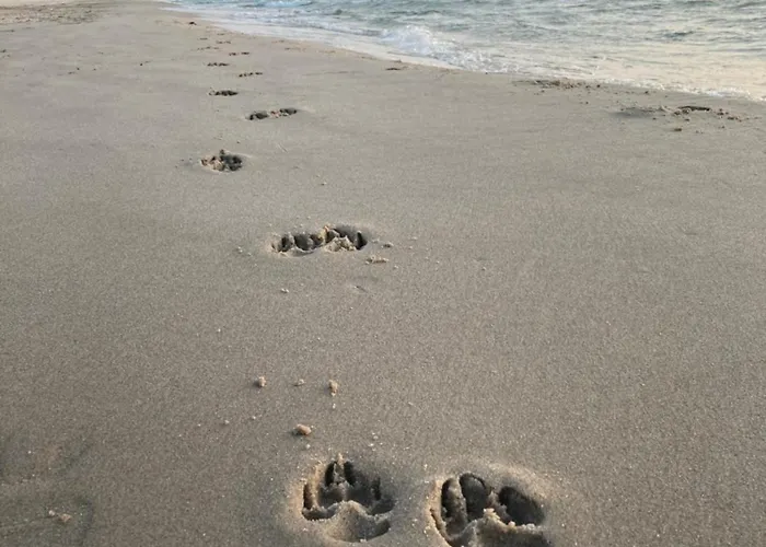 Lägenhet Nad Morzem Przy Klifie 2 Debina *