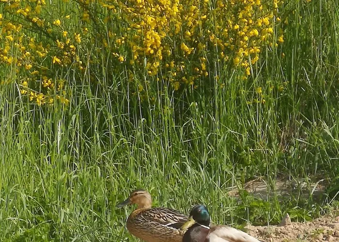 Nad Morzem Przy Klifie 2 Debina Lägenhet *