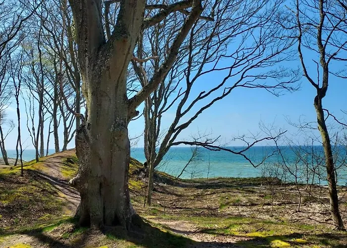 Nad Morzem Przy Klifie 2 Debina *