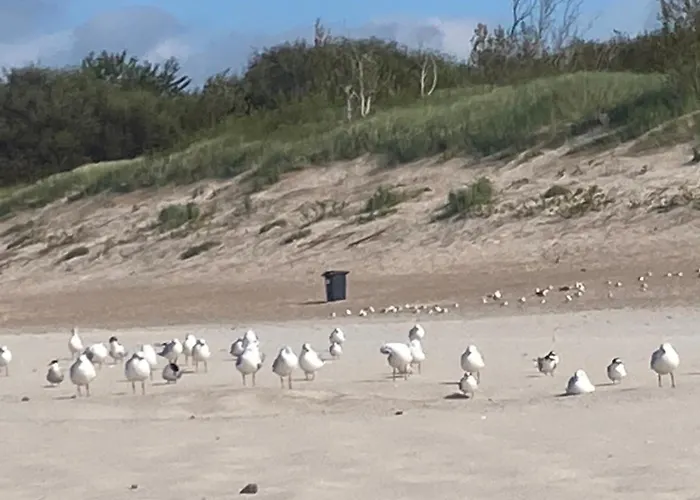 Lägenhet Nad Morzem Przy Klifie 2 Debina