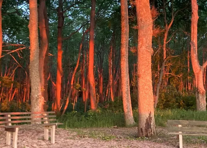 Nad Morzem Przy Klifie 2 Debina Lägenhet