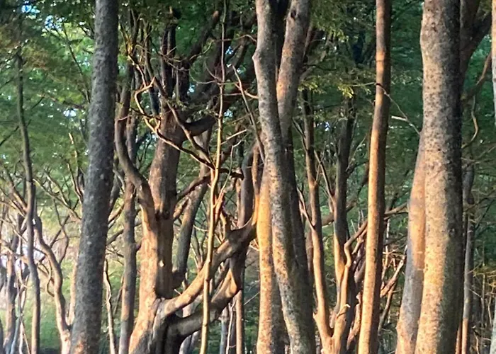 Nad Morzem Przy Klifie 2 Debina * Debina (Ustka)