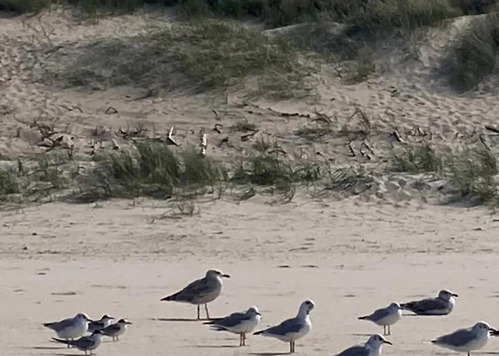 Lägenhet Nad Morzem Przy Klifie 2 Debina