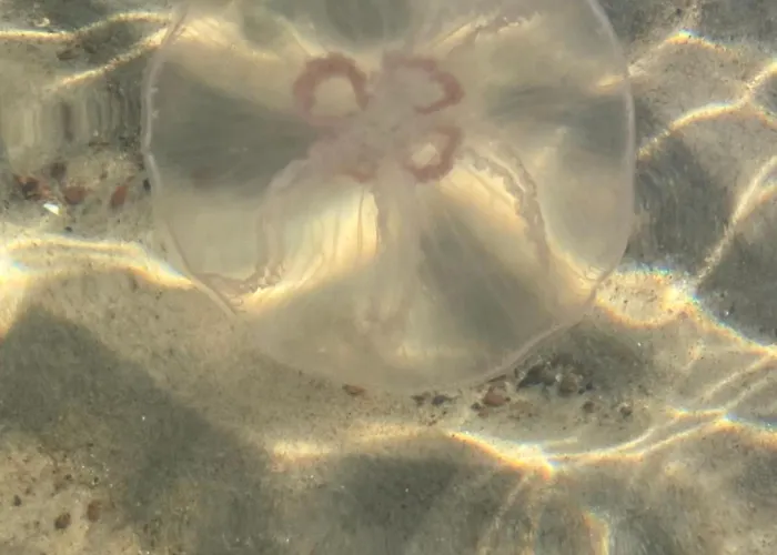 Nad Morzem Przy Klifie 2 Debina Debina (Ustka)