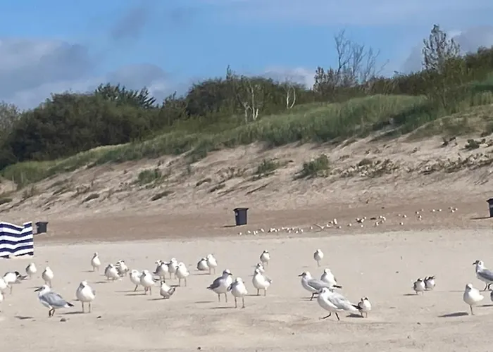 Nad Morzem Przy Klifie 2 Debina * Debina (Ustka)