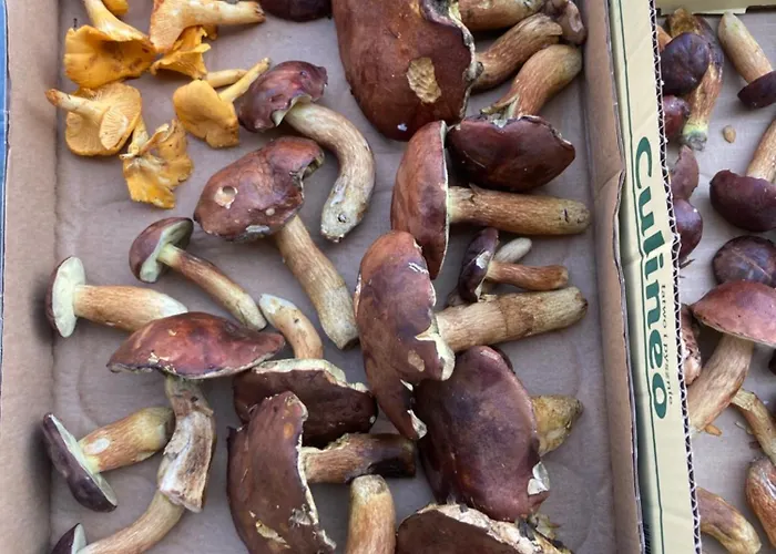 Nad Morzem Przy Klifie 2 Debina Debina (Ustka)