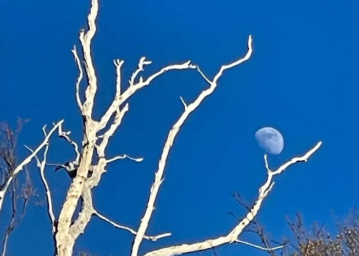 Nad Morzem Przy Klifie 2 Debina Lägenhet Debina (Ustka)