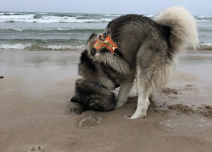 Nad Morzem Przy Klifie 2 Debina * Debina (Ustka)