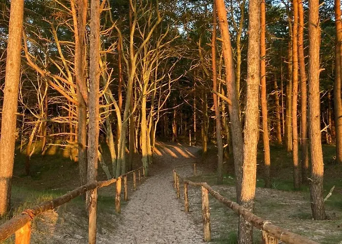 Nad Morzem Przy Klifie 2 Debina Lägenhet *