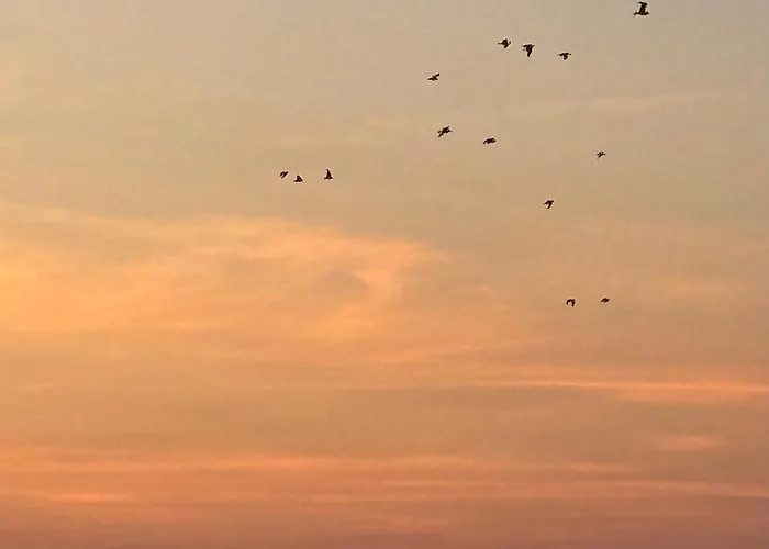 Nad Morzem Przy Klifie 2 Debina * Debina (Ustka)