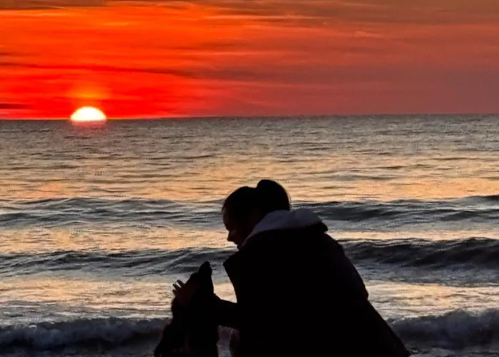 Lägenhet Nad Morzem Przy Klifie 2 Debina *