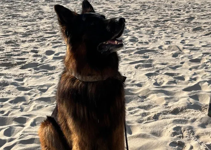 Nad Morzem Przy Klifie 2 Debina Lägenhet Debina (Ustka)