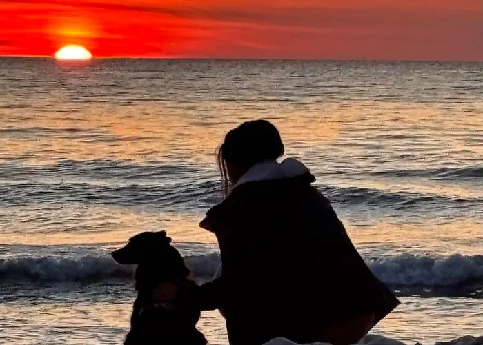 Nad Morzem Przy Klifie 2 Debina Lägenhet *