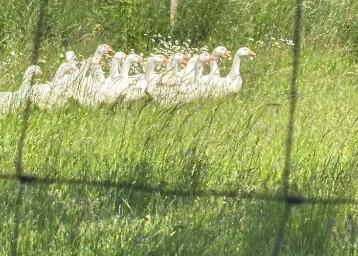 Nad Morzem Przy Klifie 2 Debina Debina (Ustka)