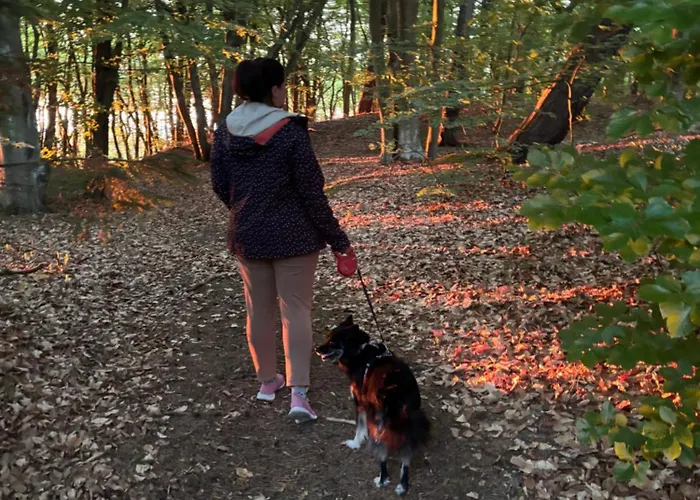 Nad Morzem Przy Klifie 2 Debina * Debina (Ustka)