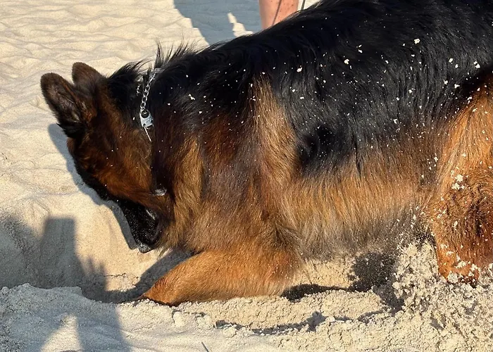 Nad Morzem Przy Klifie 2 Debina