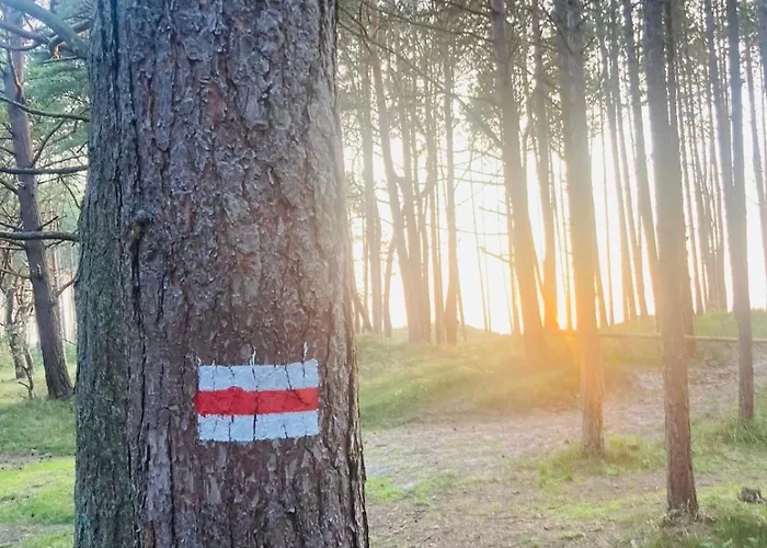 Nad Morzem Przy Klifie 2 Debina Lägenhet *