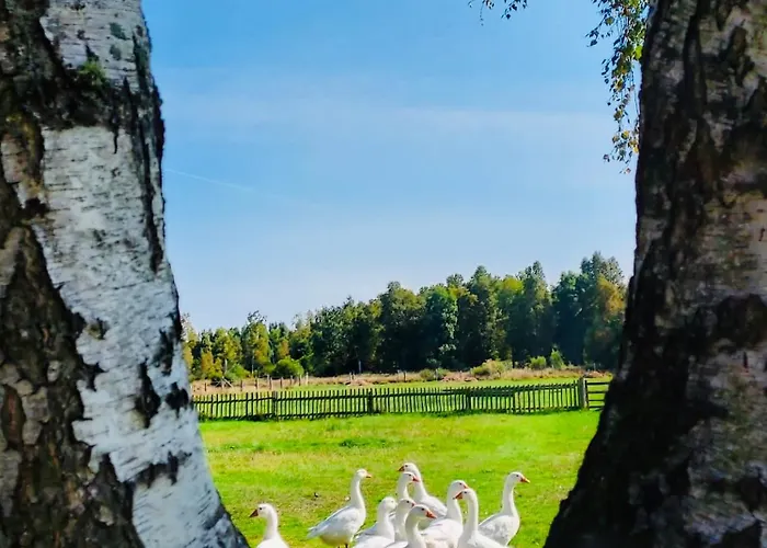 Nad Morzem Przy Klifie 2 Debina *