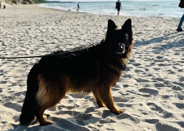 Lägenhet Nad Morzem Przy Klifie 2 Debina