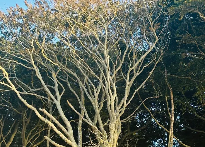 Nad Morzem Przy Klifie 2 Debina Lägenhet Debina (Ustka)