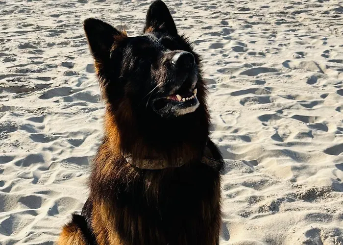 Nad Morzem Przy Klifie 2 Debina Debina (Ustka)