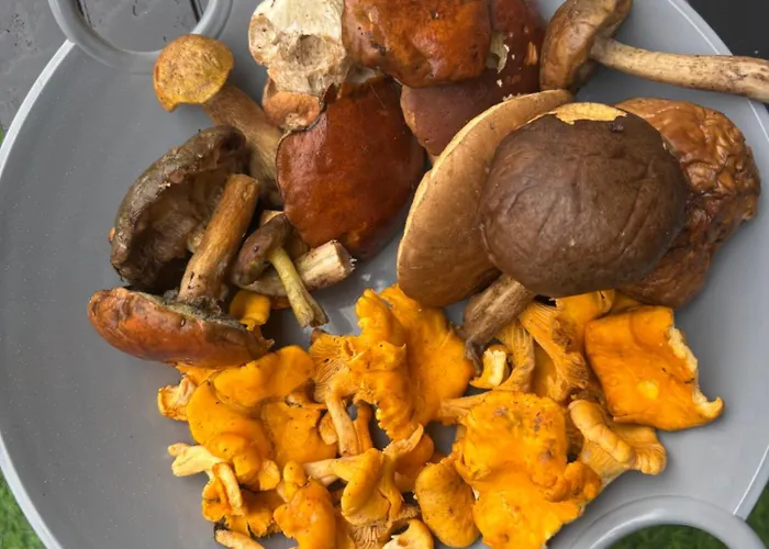 Nad Morzem Przy Klifie 2 Debina Debina (Ustka)